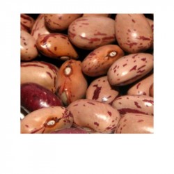 Fagioli Borlotti bio IT 5kg