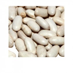 Bio-Cannellini-Bohnen IT 5kg