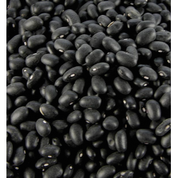 Fagioli neri bio 5kg