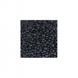 Bio Beluga schwarze Linsen 5kg