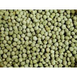 Bio geschälte grüne Erbsen 5kg