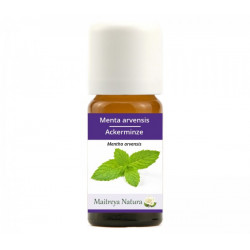 Minze Avensis Bio 10ml...