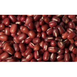 Azuki-bohnen bio 5kg