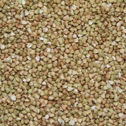 Bio-Buchweizen 2,5kg