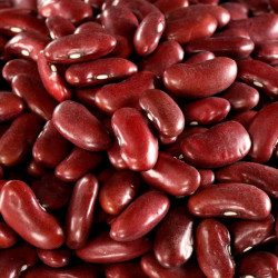 Rote Kidney-Bohnen 2,5kg