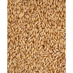 Bio-Haferflocken 5kg