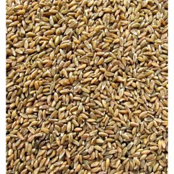 Bio-Grünkern 5kg