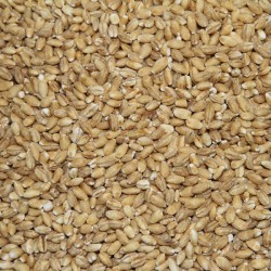 Bio geschälte Gerste 5kg