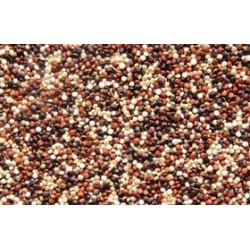 Bio Tricolor Quinoa 2,5kg