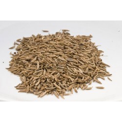 Bio-Anissamen 500g