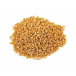 Gelbe Senfsamen bio 1kg