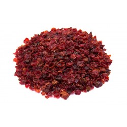 Rosa canina bio