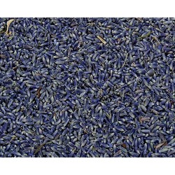 Lavendel (Blüten) bio 500g
