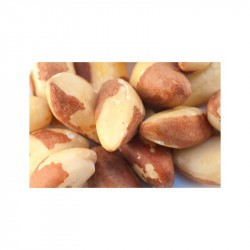 Bio Paranüsse 2,5kg