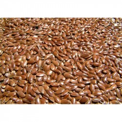 Bio-Leinsamen 2,5kg