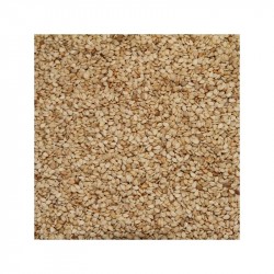 Bio-Sesamsamen 5kg