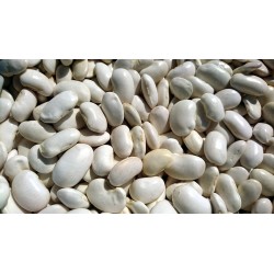 Bio große weiße Bohnen 5kg