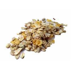 Bio Müsli ohne Rosinen 5kg